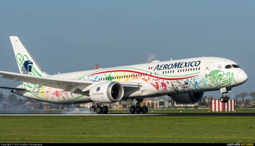 B-787-9 AM special livery