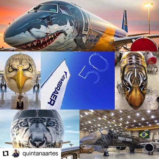 E-190 E2 special liveries